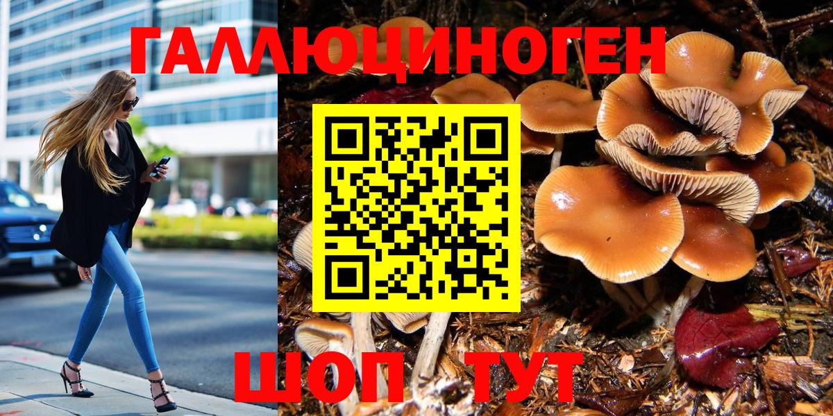 продажа наркотиков  Псилоцибиновые грибы Psilocybine cubensis  Галлюциногенные грибы мицелий  Вход с VPN  Ишим 