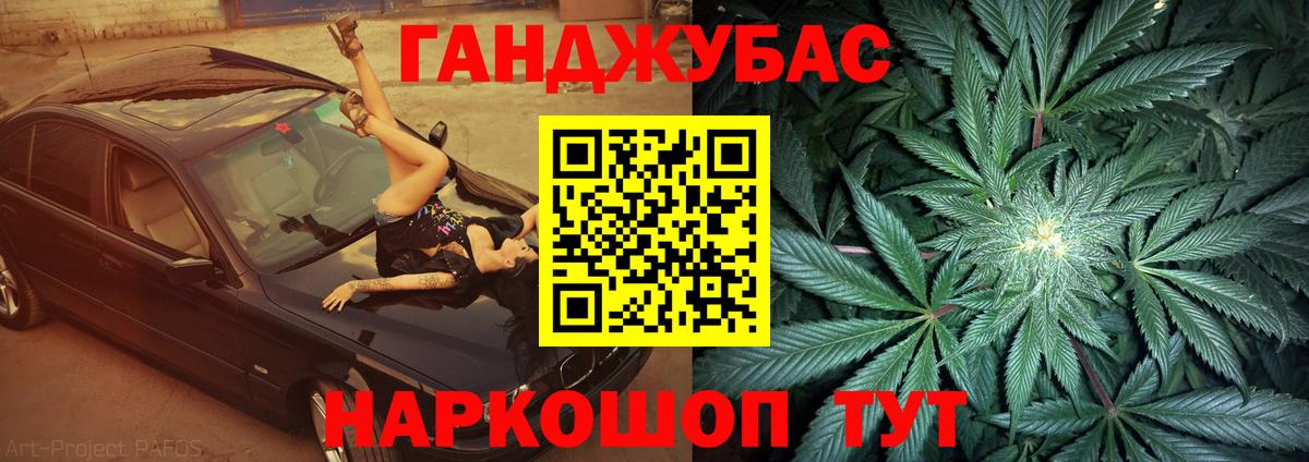 Конопля гибрид Ишим